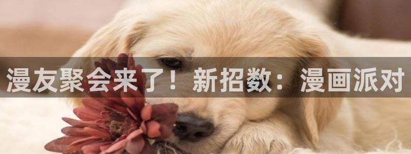 eva明日香羞羞漫画：漫友聚会来了！新招数：漫画派对