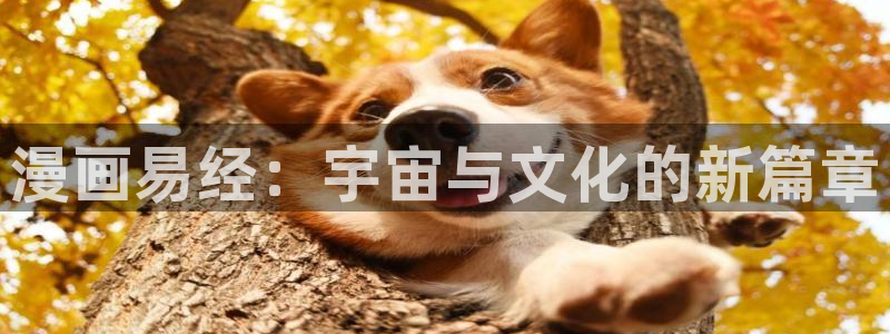 羞羞漫画免费入口在线观看